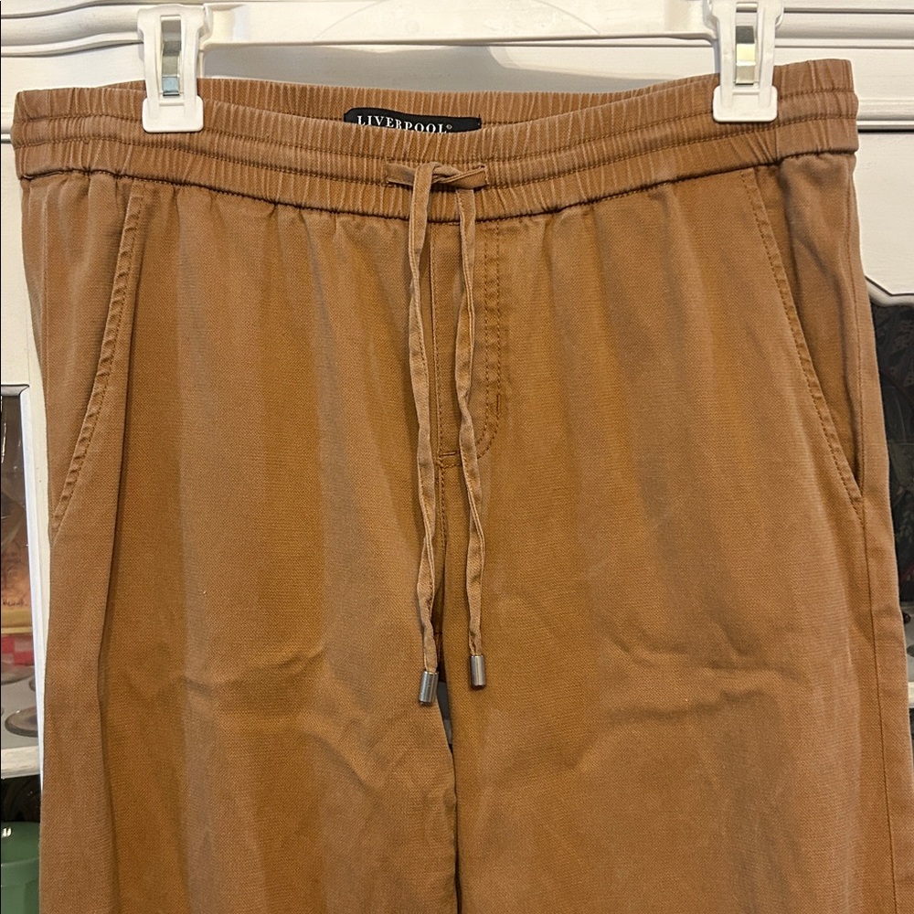Liverpool Drawstring Pants - Picture 2 of 12